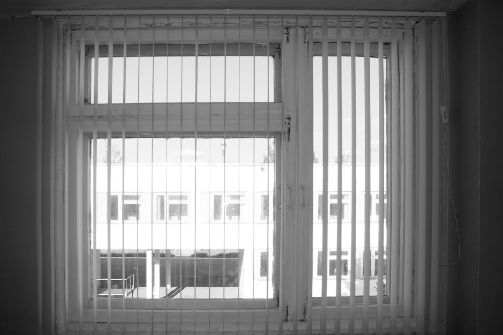 8 window blinds and shutters to check out